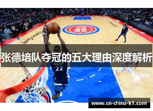 张德培队夺冠的五大理由深度解析