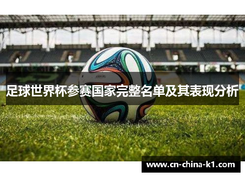 足球世界杯参赛国家完整名单及其表现分析