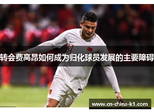 转会费高昂如何成为归化球员发展的主要障碍