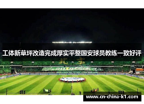 工体新草坪改造完成厚实平整国安球员教练一致好评