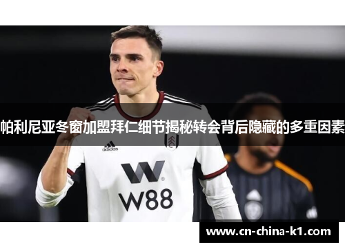 帕利尼亚冬窗加盟拜仁细节揭秘转会背后隐藏的多重因素