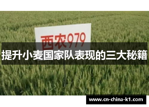 提升小麦国家队表现的三大秘籍