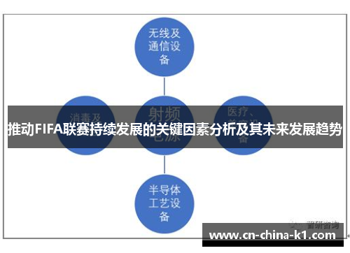 推动FIFA联赛持续发展的关键因素分析及其未来发展趋势