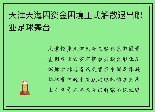 天津天海因资金困境正式解散退出职业足球舞台